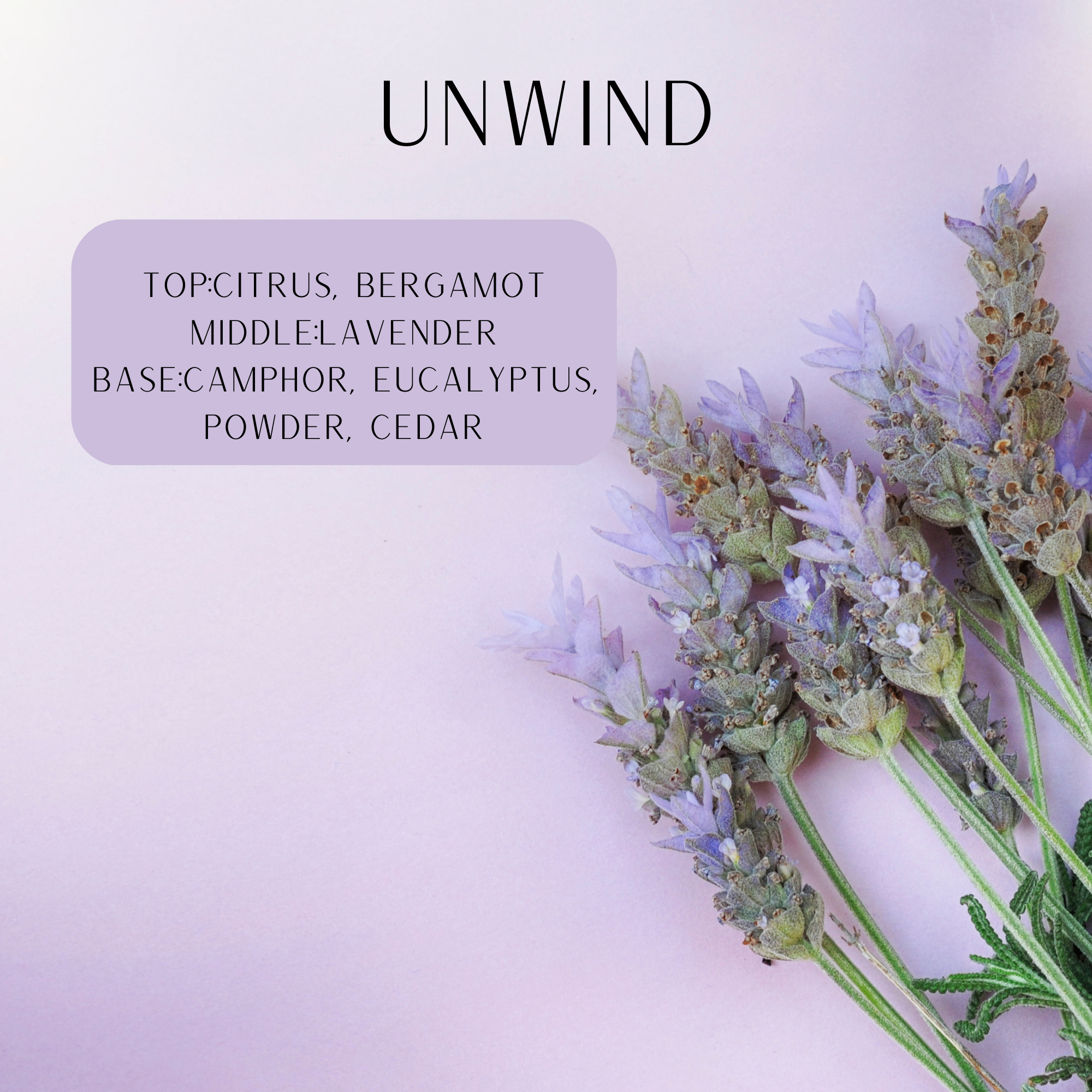 Lavender sprigs on a light lavender background says unwind top:citrus, bergamot middle: lavender base: camphor, eucalyptus, powder, cedar