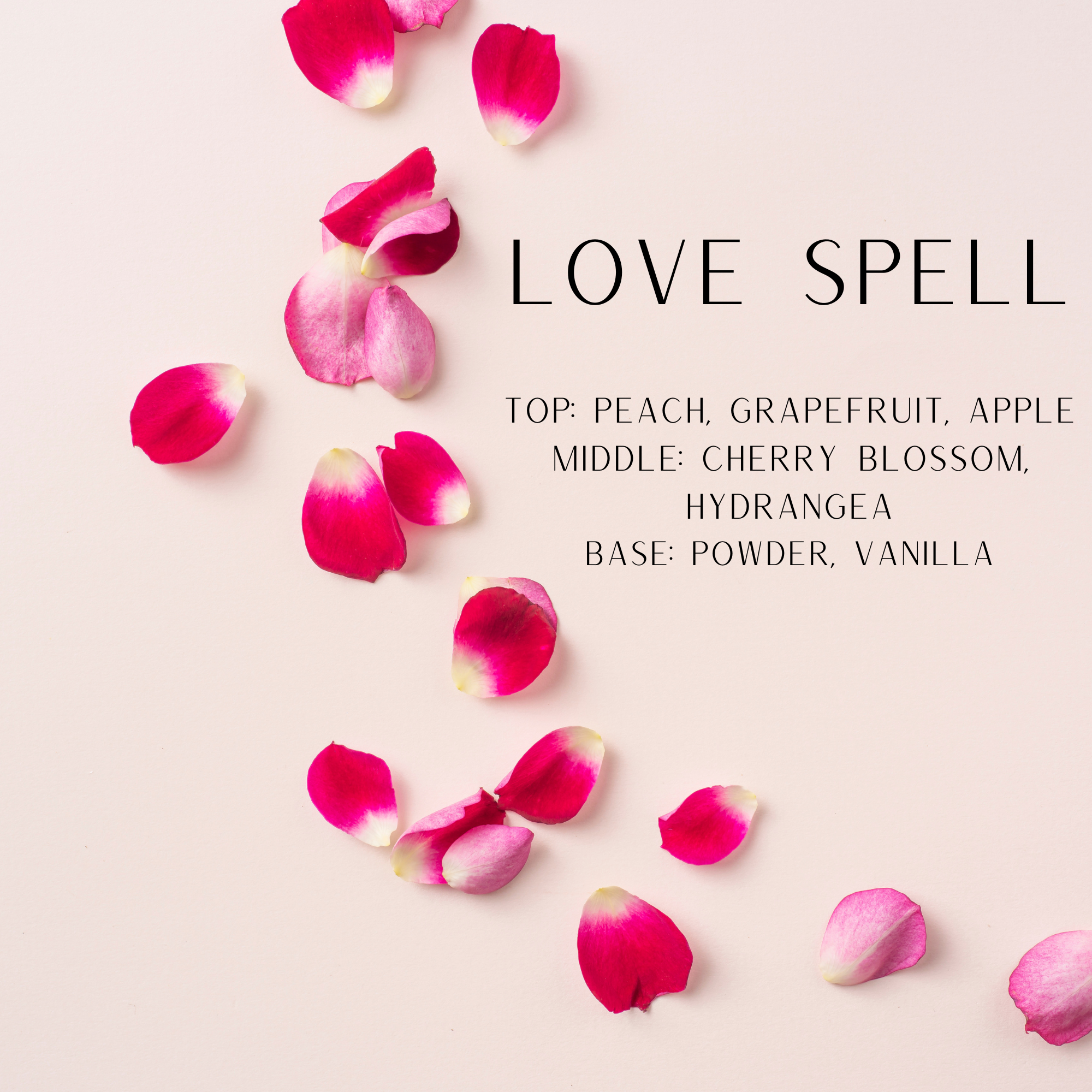 rose petals on a pink background says love spell top peach, grapefruit, apple middle: cherry blossom, hydrangea Base: powder, vanilla