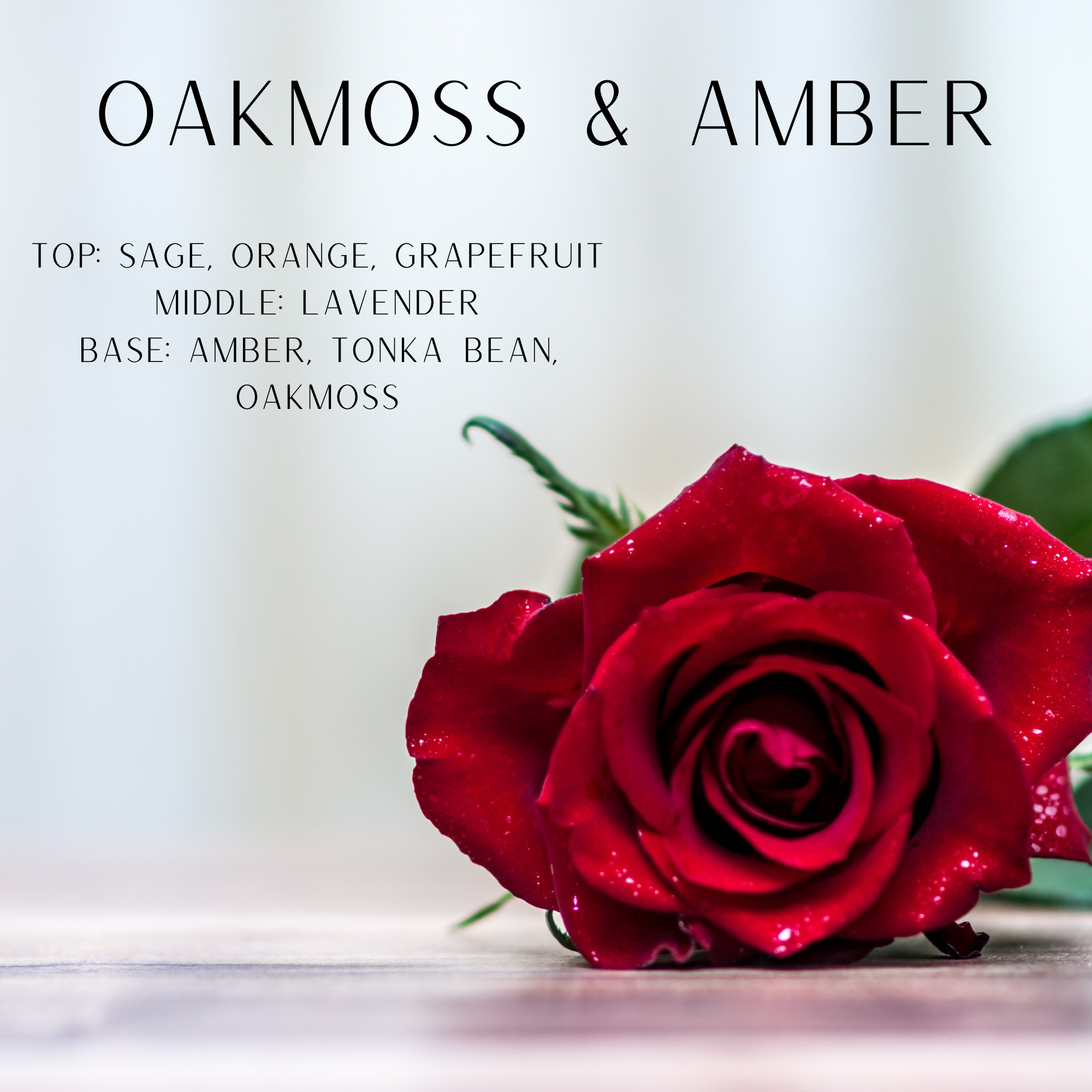 Red Rose on a light blue background says oakmoss and amber top: sage, orange, grapefruit middle:lavender base: amber, tonka bean, oakmoss