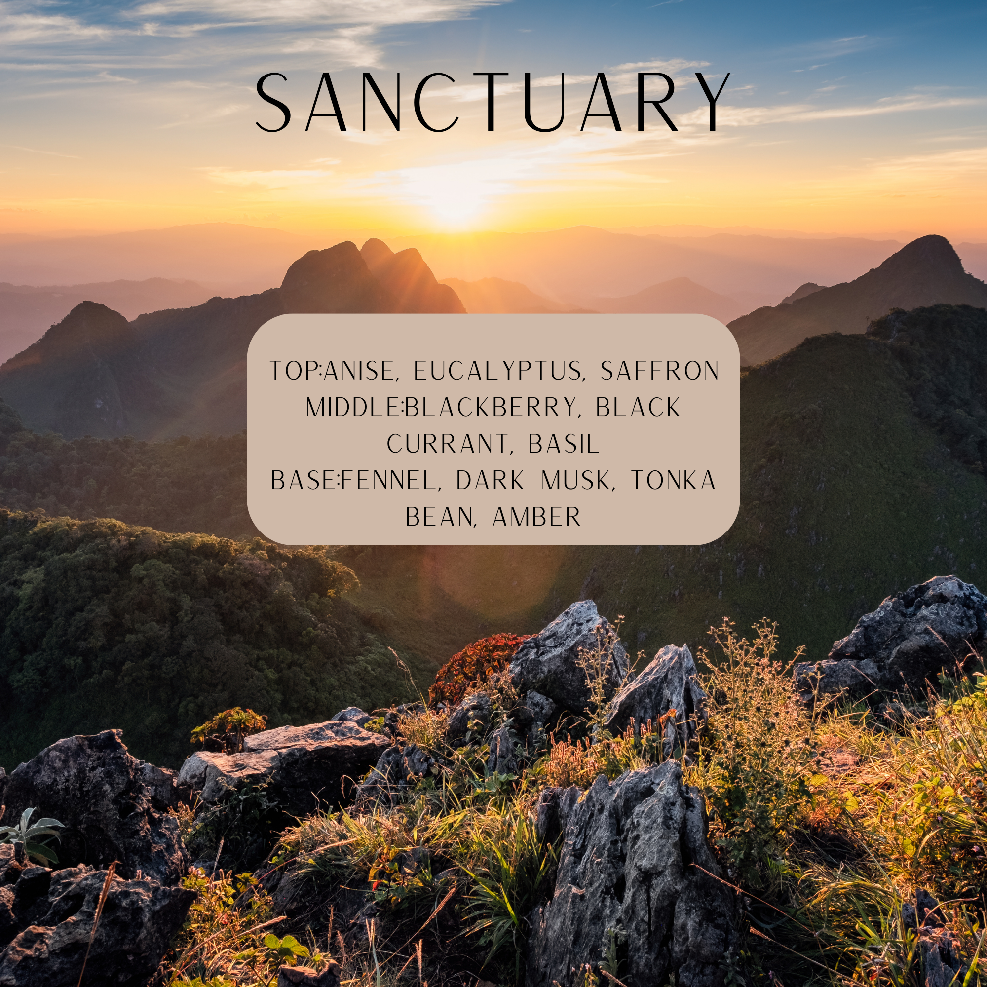 beautiful sunrise over a mountaintop says sanctuary top: anise, eucalyptus, saffron middle: blackberry, black currant, basil base: fennel, dark musk, tonka bean, amber